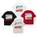 Ohio vs Michigan Rivalry Shirt – Script Ohio on Big M T-shirt