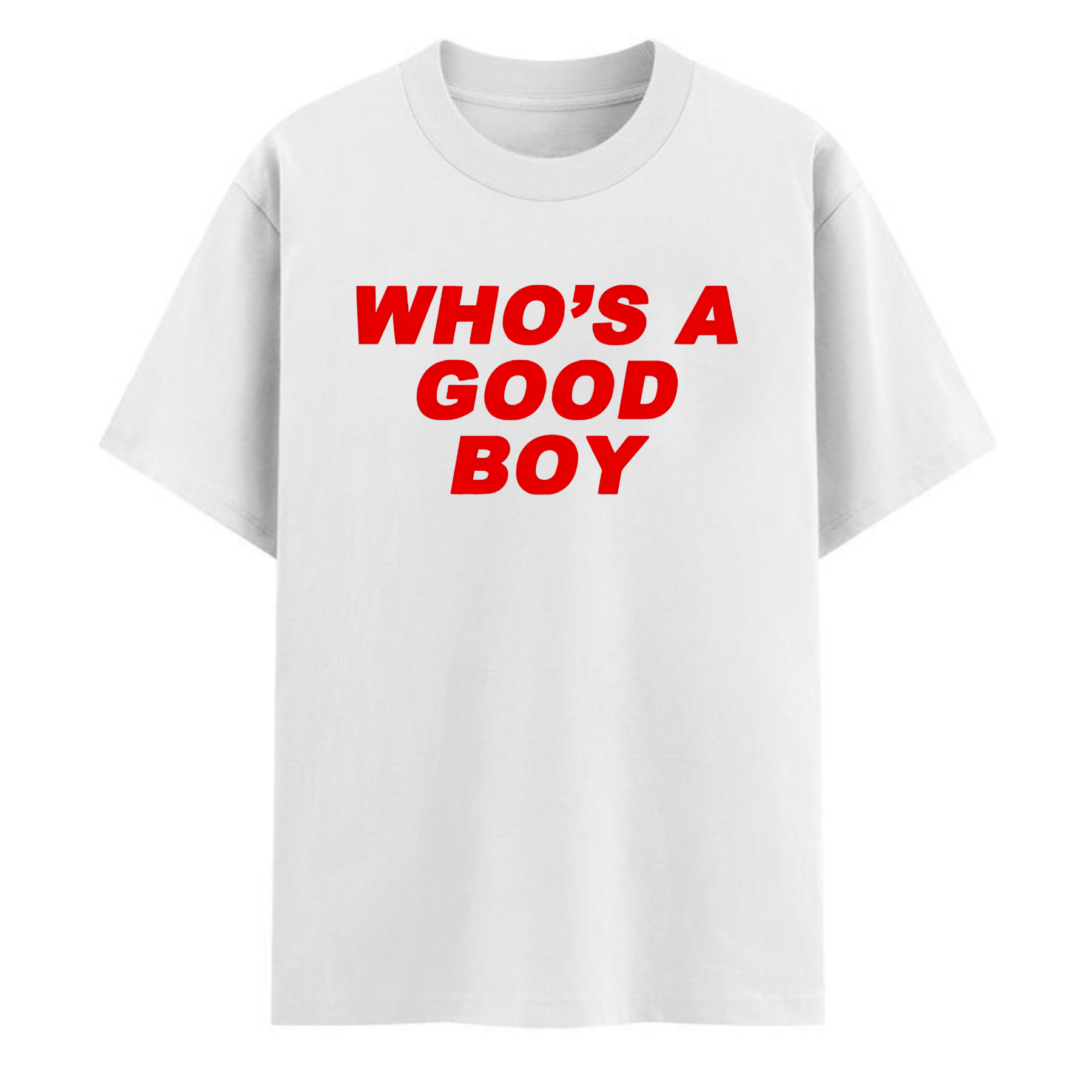"Who's a Good Boy" Y2K Baby Tee – Funny Dog Lover Shirt